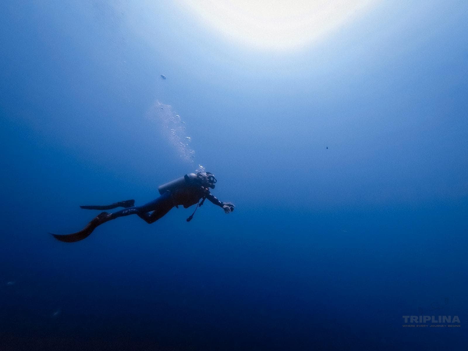 Scuba Diving Grand Island Package in Goa photo 2