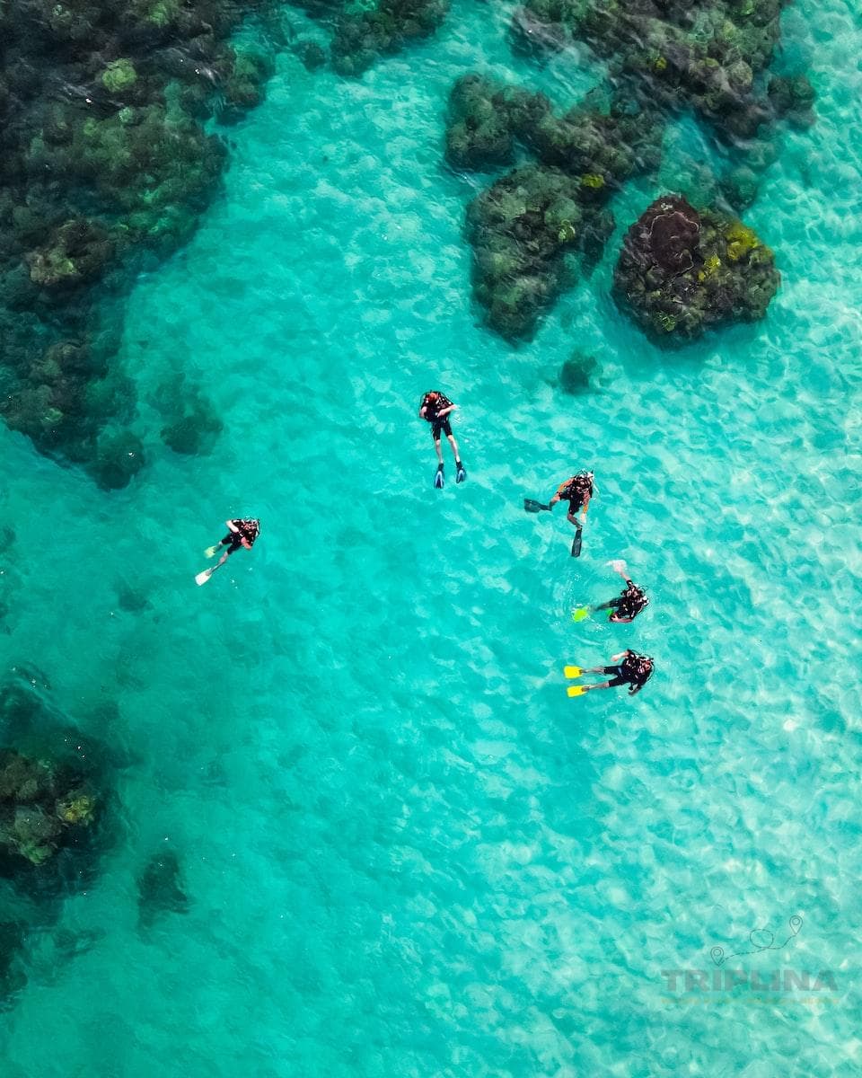 Scuba Diving Grand Island Package in Goa photo 3