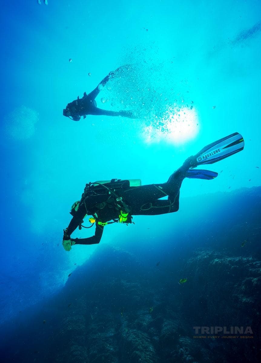 Scuba Diving Grand Island Package in Goa photo 4