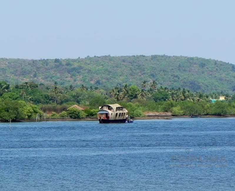 Houseboat Cruise Day Trip in Goa